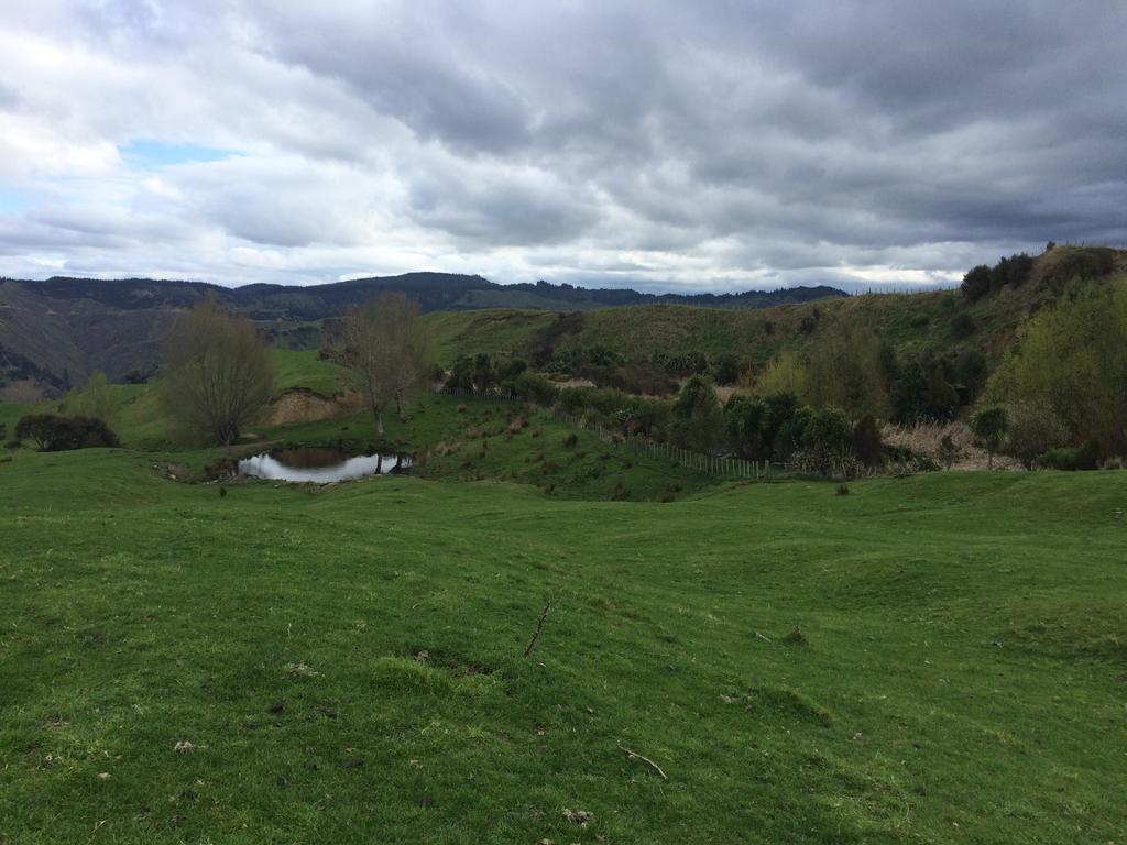Ohuka Lodge Tuai Kültér fotó