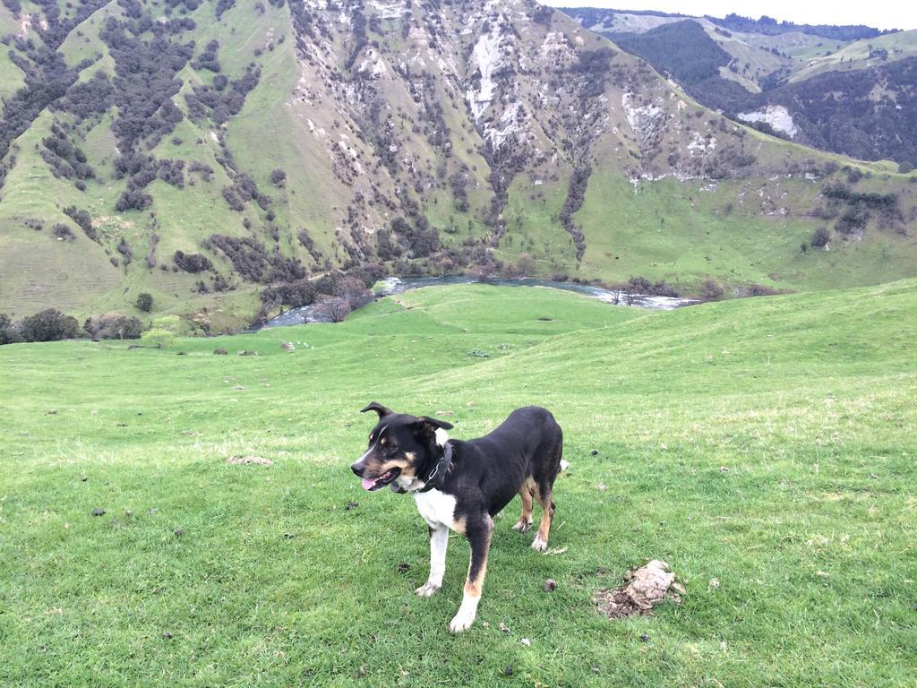 Ohuka Lodge Tuai Kültér fotó