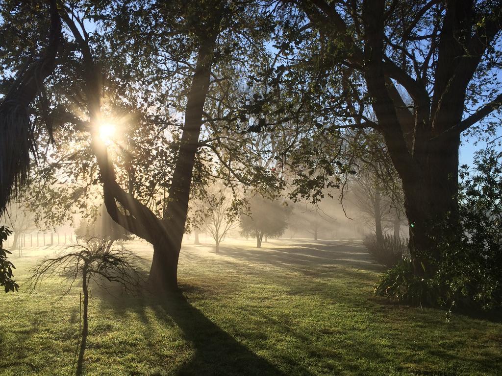Ohuka Lodge Tuai Kültér fotó