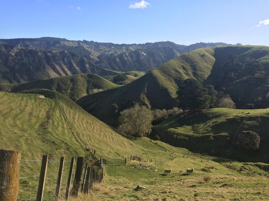 Ohuka Lodge Tuai Kültér fotó