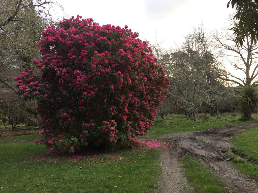 Ohuka Lodge Tuai Kültér fotó